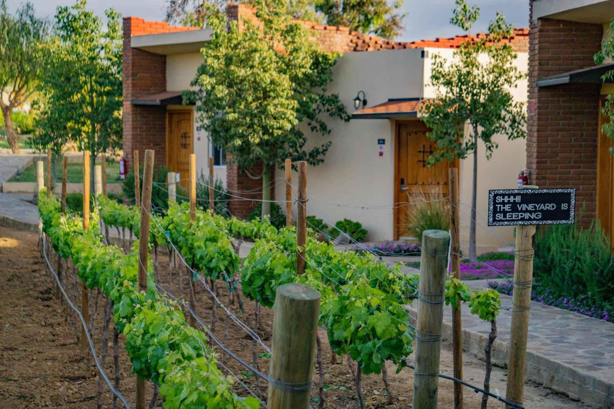 Ojo Azul Resort Valle de Guadalupe Bagian luar foto