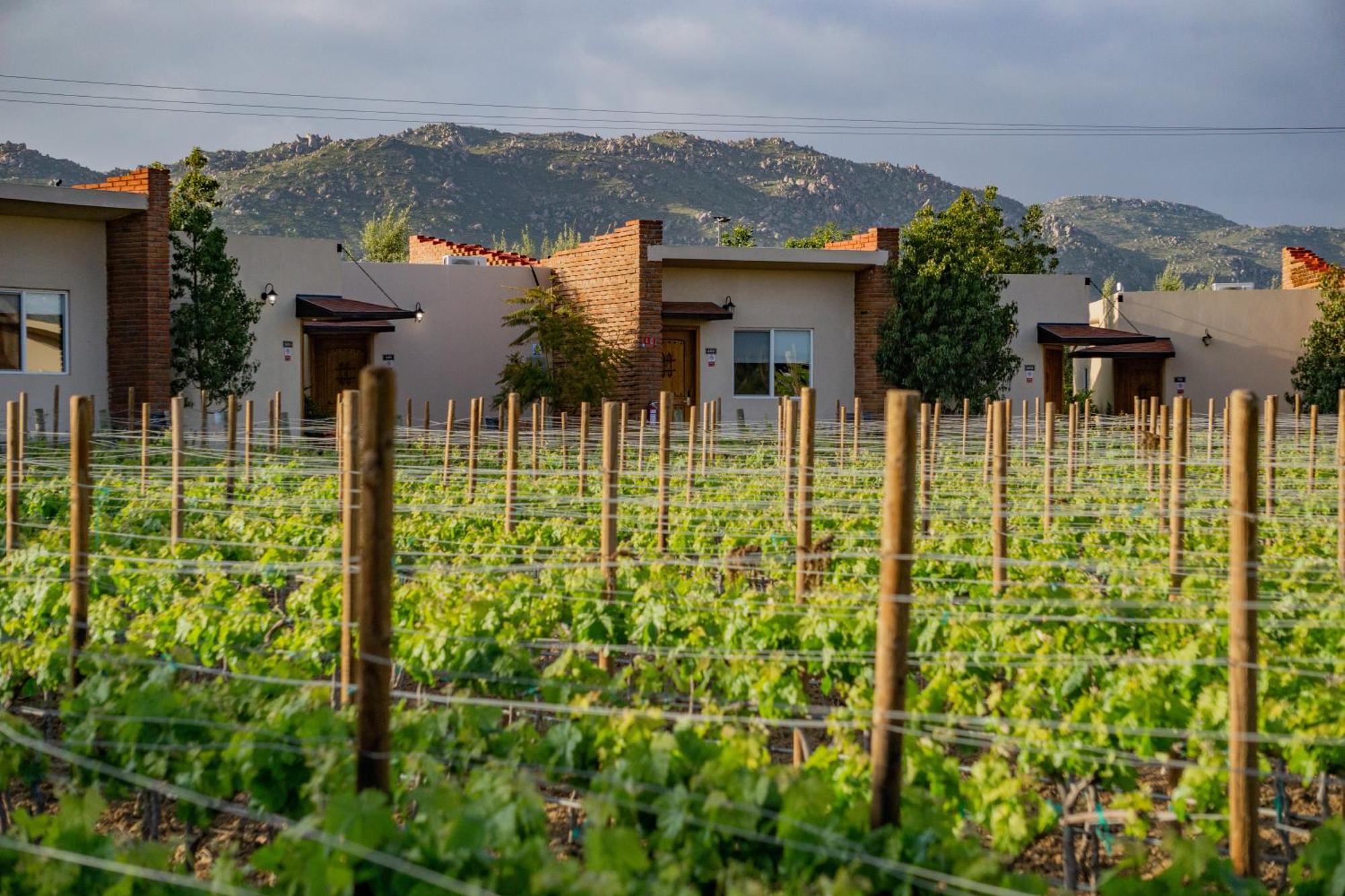 Ojo Azul Resort Valle de Guadalupe Bagian luar foto