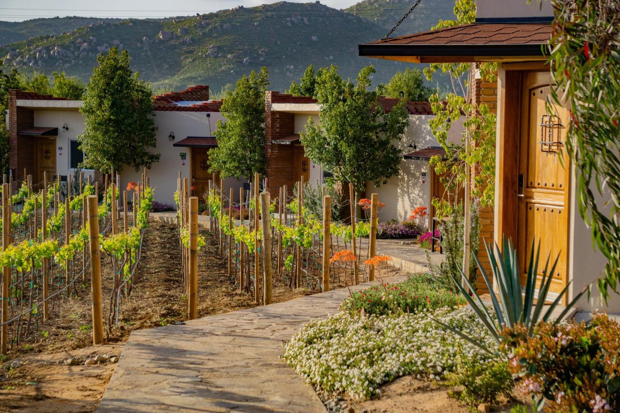 Ojo Azul Resort Valle de Guadalupe Bagian luar foto