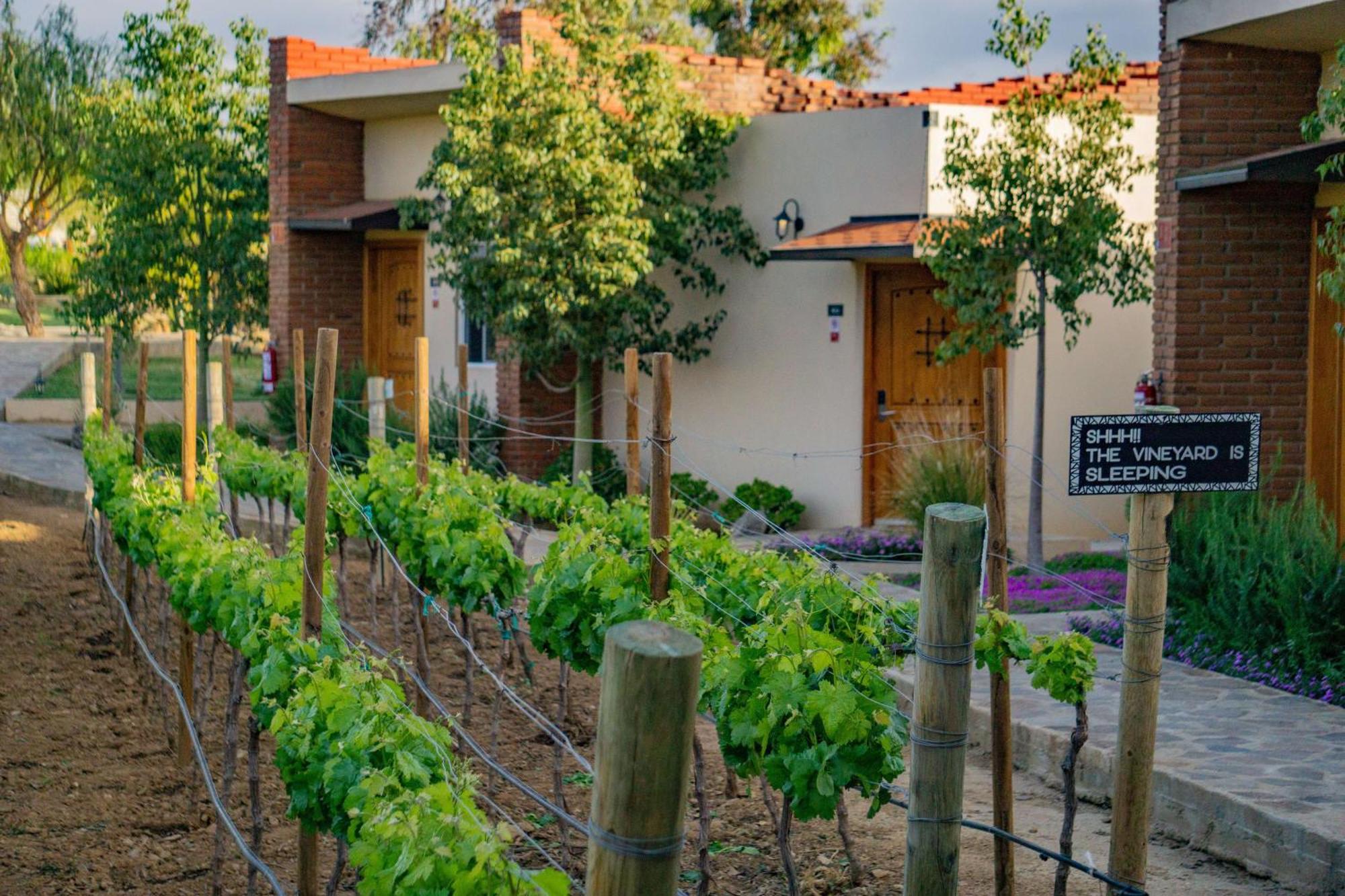 Ojo Azul Resort Valle de Guadalupe Bagian luar foto